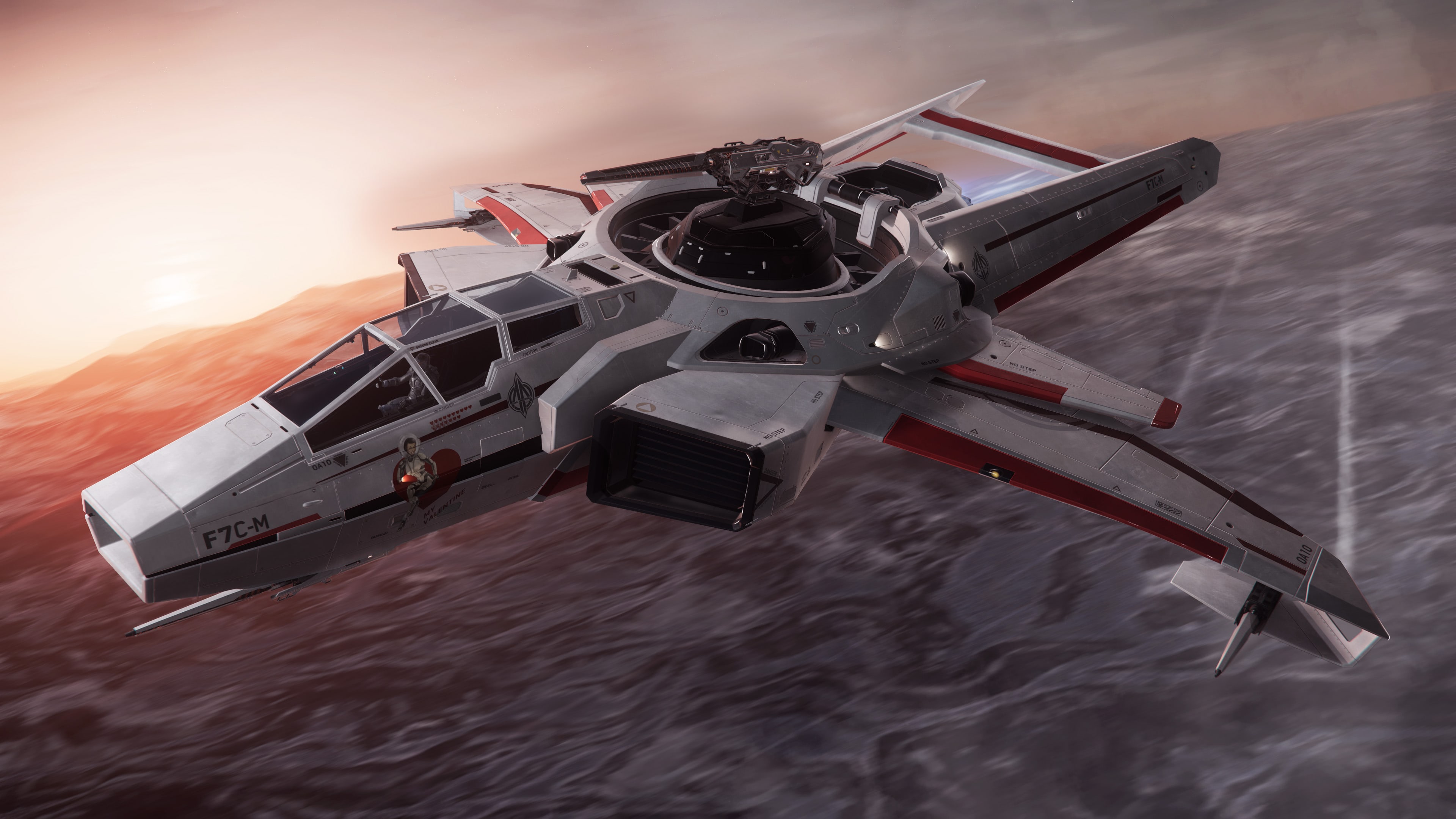 image d'un Hornet en vole